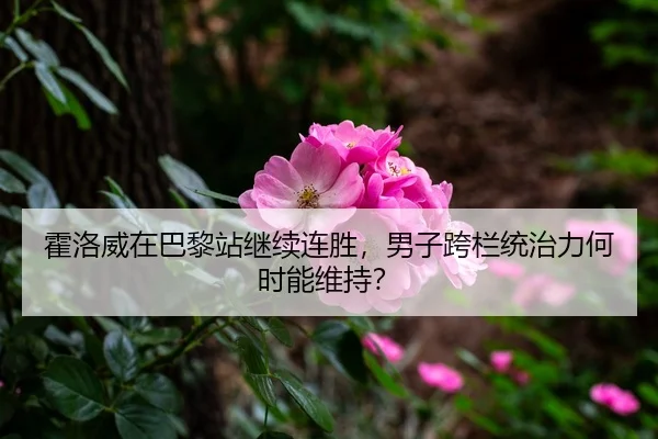 huo-luo-wei-zai-ba-li-zhan-ji-xu-lian-sheng-nan-zi-kua-lan-tong-zhi-li-he-shi-neng-wei-chi-1-383.jpg