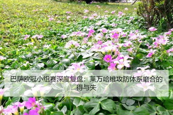 ba-sa-ou-guan-xiao-zu-sai-shen-du-fu-pan-lai-wan-ha-wei-gong-fang-ti-xi-mo-he-de-de-yu-shi-2-501.jpg