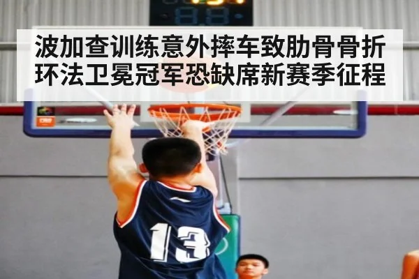 波加查训练意外摔车致肋骨骨折 环法卫冕冠军恐缺席新赛季征程